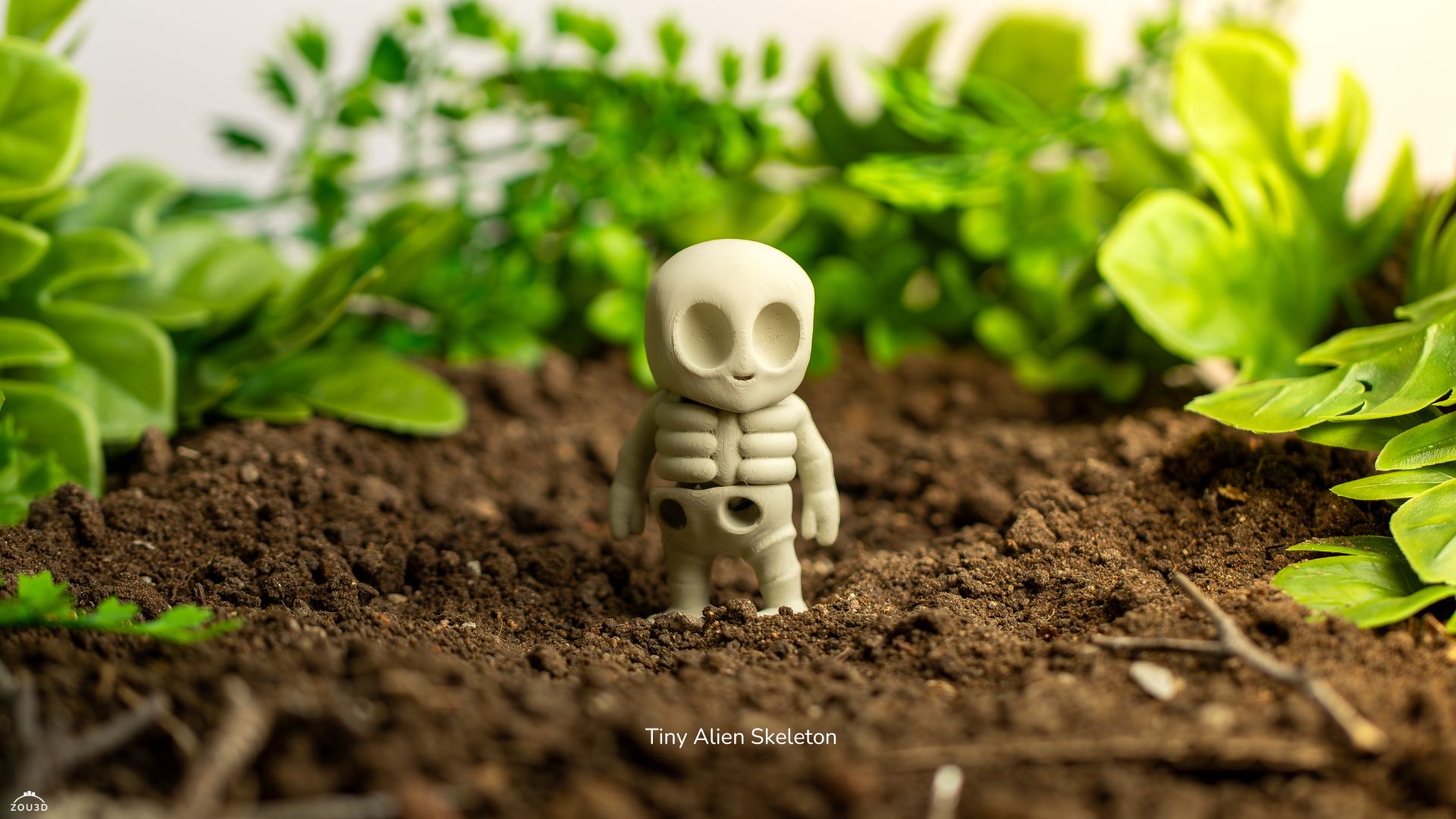 tiny alien skeleton