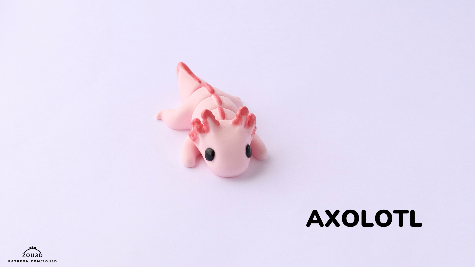 axolotl