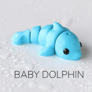 baby dolphin