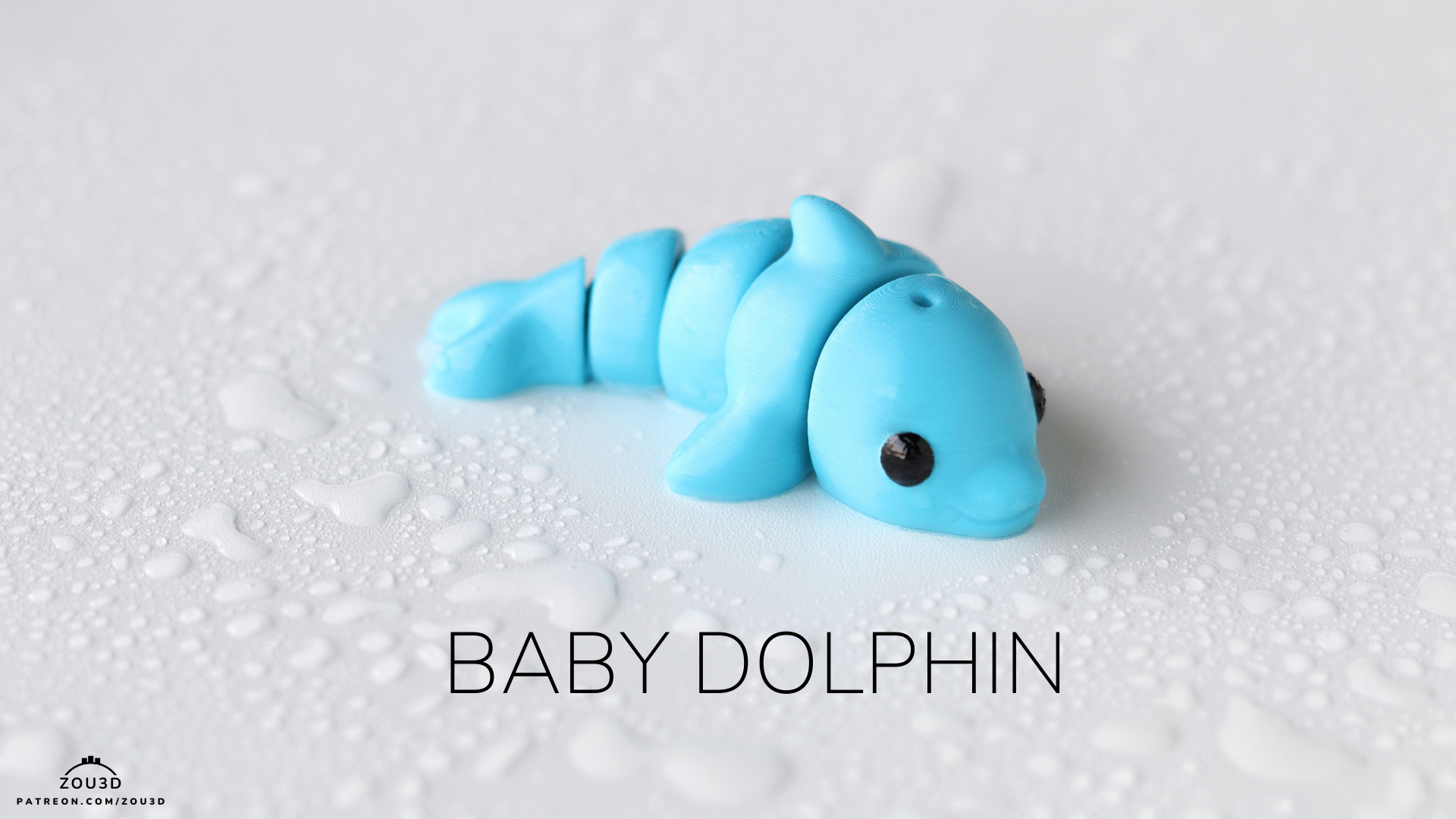 baby dolphin