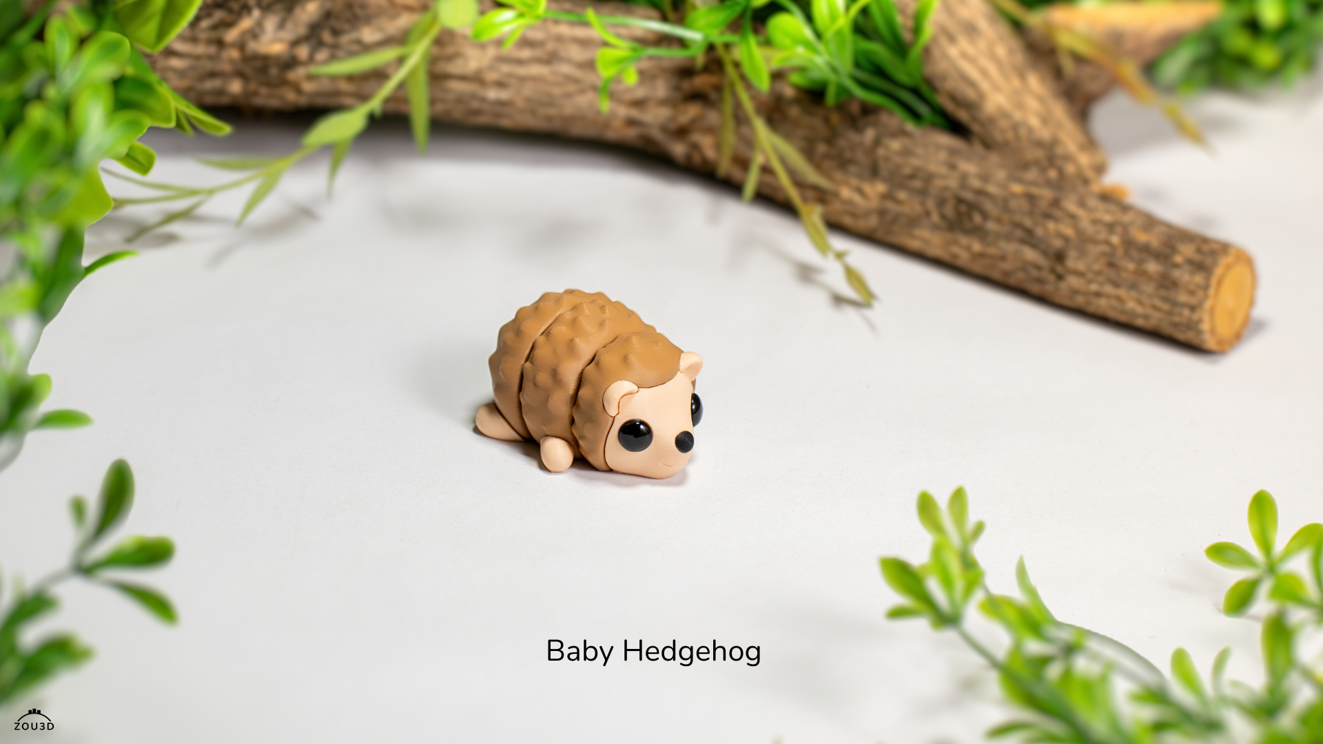 Home baby hedgehog