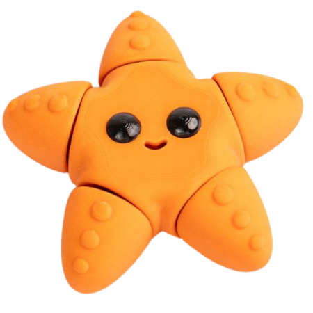 Starfish Trans