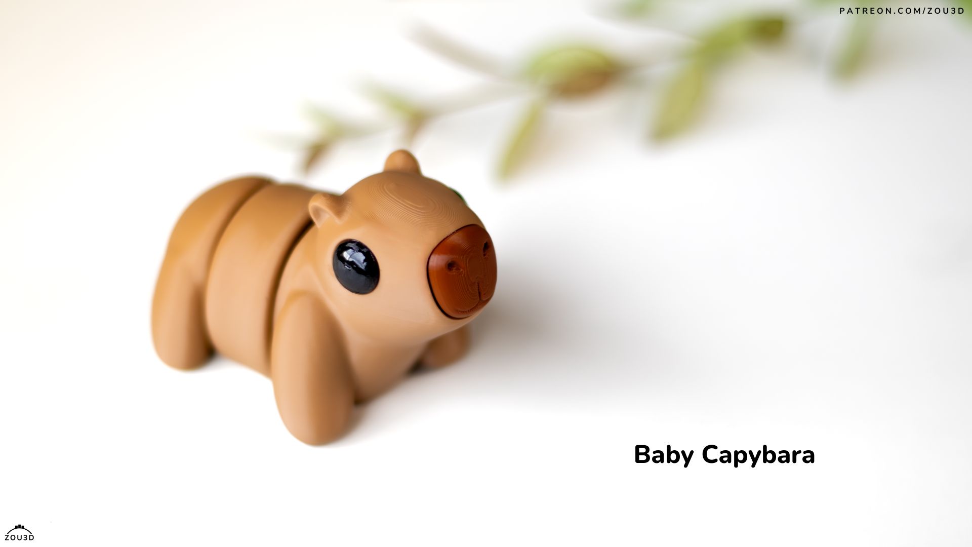 Home baby capybara