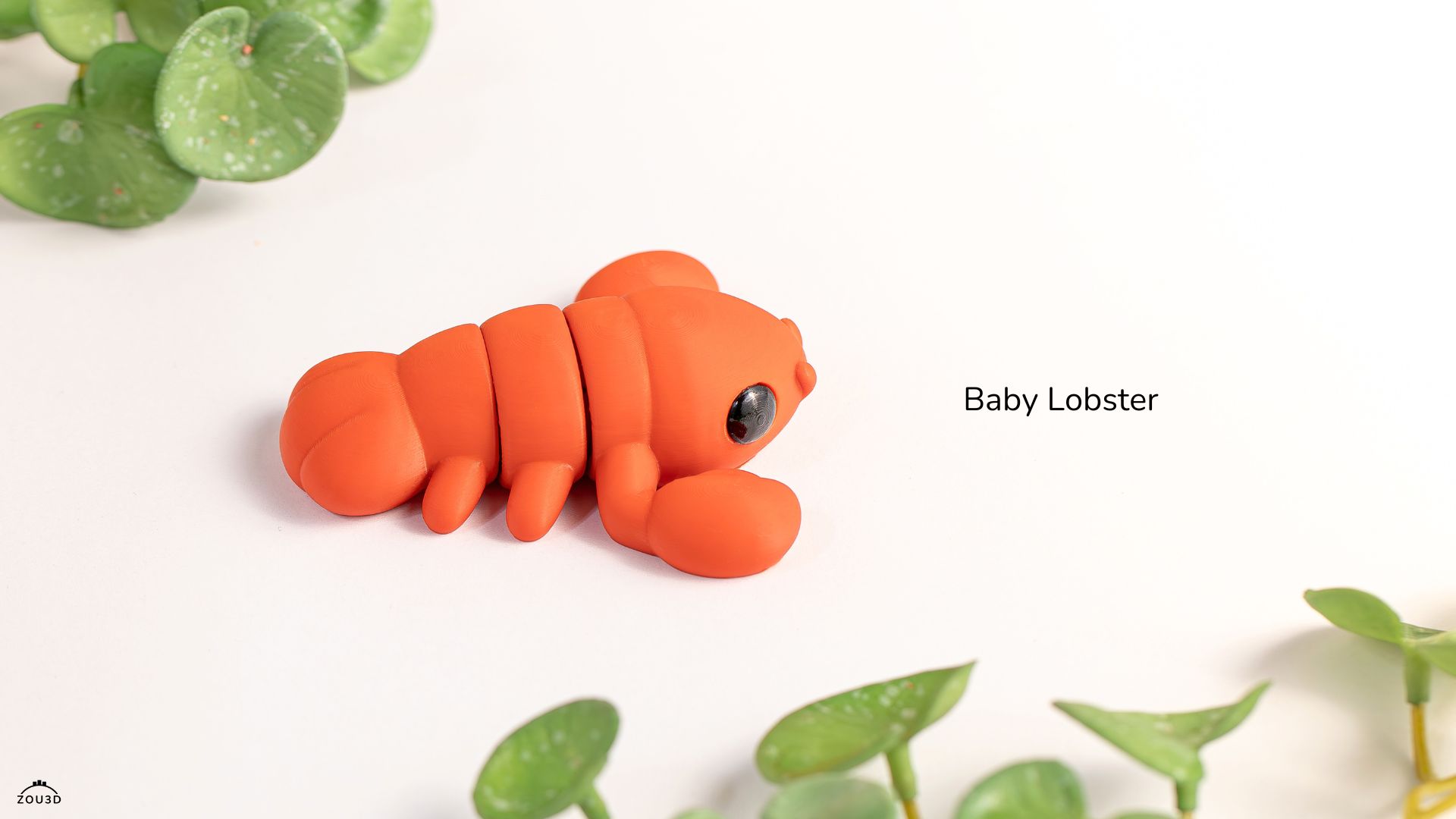 baby lobster baby lobster