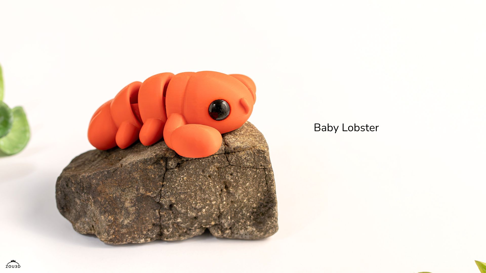 baby lobster
